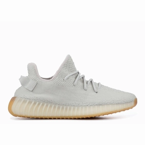 Yeezy Boost 350 V2 "Sesame" (2019) Coast Step Easy Pairing