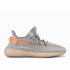 Yeezy Boost 350 V2 "True Form" (2019) Fast Walk