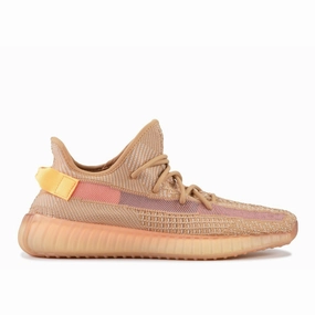 Sun Day Practical Design Yeezy Boost 350 V2 "Clay" (2019)