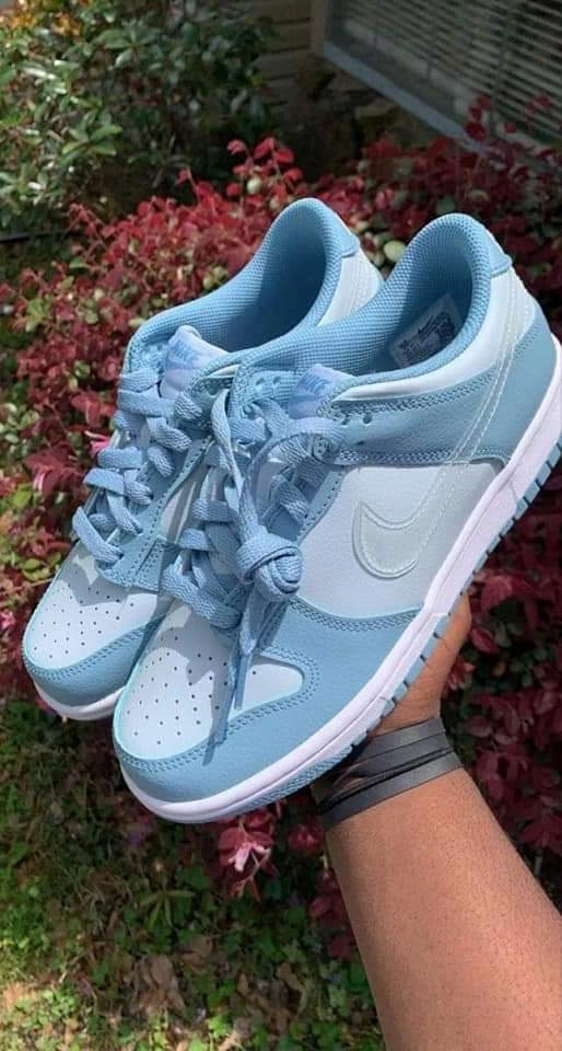 daily use running shoes multi - terrain shoes Nike Dunk Low Clear Blue Swoosh