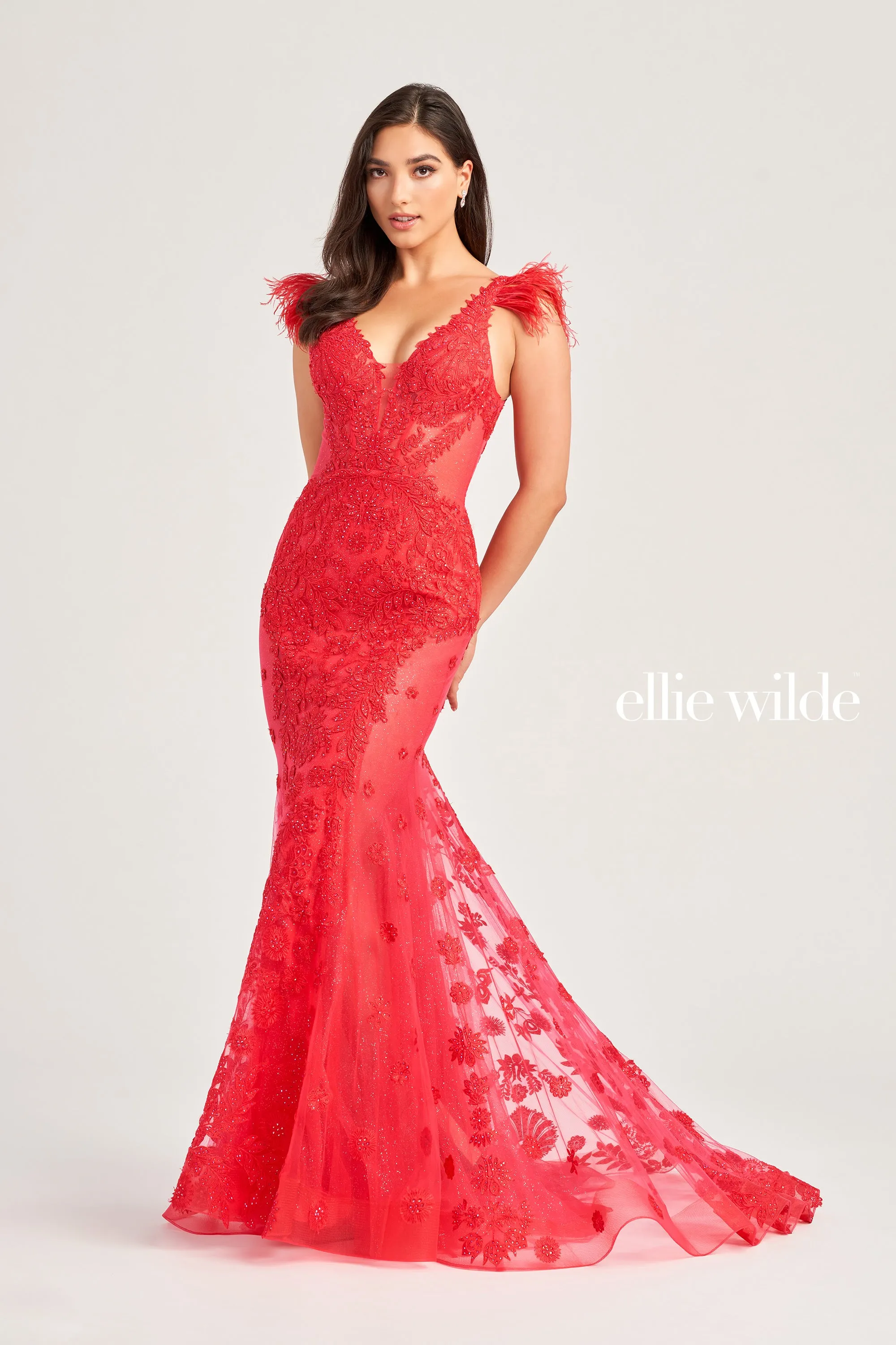 Ellie Wilde EW35009 Long Sheer Crystal Lace Feather Formal Evening Gown Backless V Neck