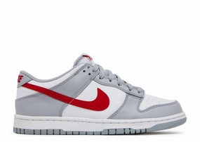 Icy Terrain Nike Dunk Low Grey Red (GS)