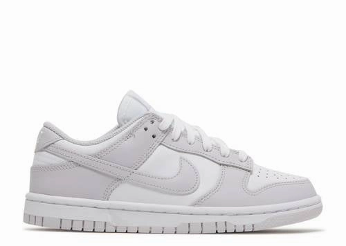 Trendy Look Unparalleled comfort Nike Dunk Low Venice (W)