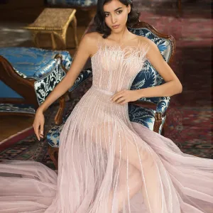 Luxury Pink Feathers Strapless Evening Dress SS401