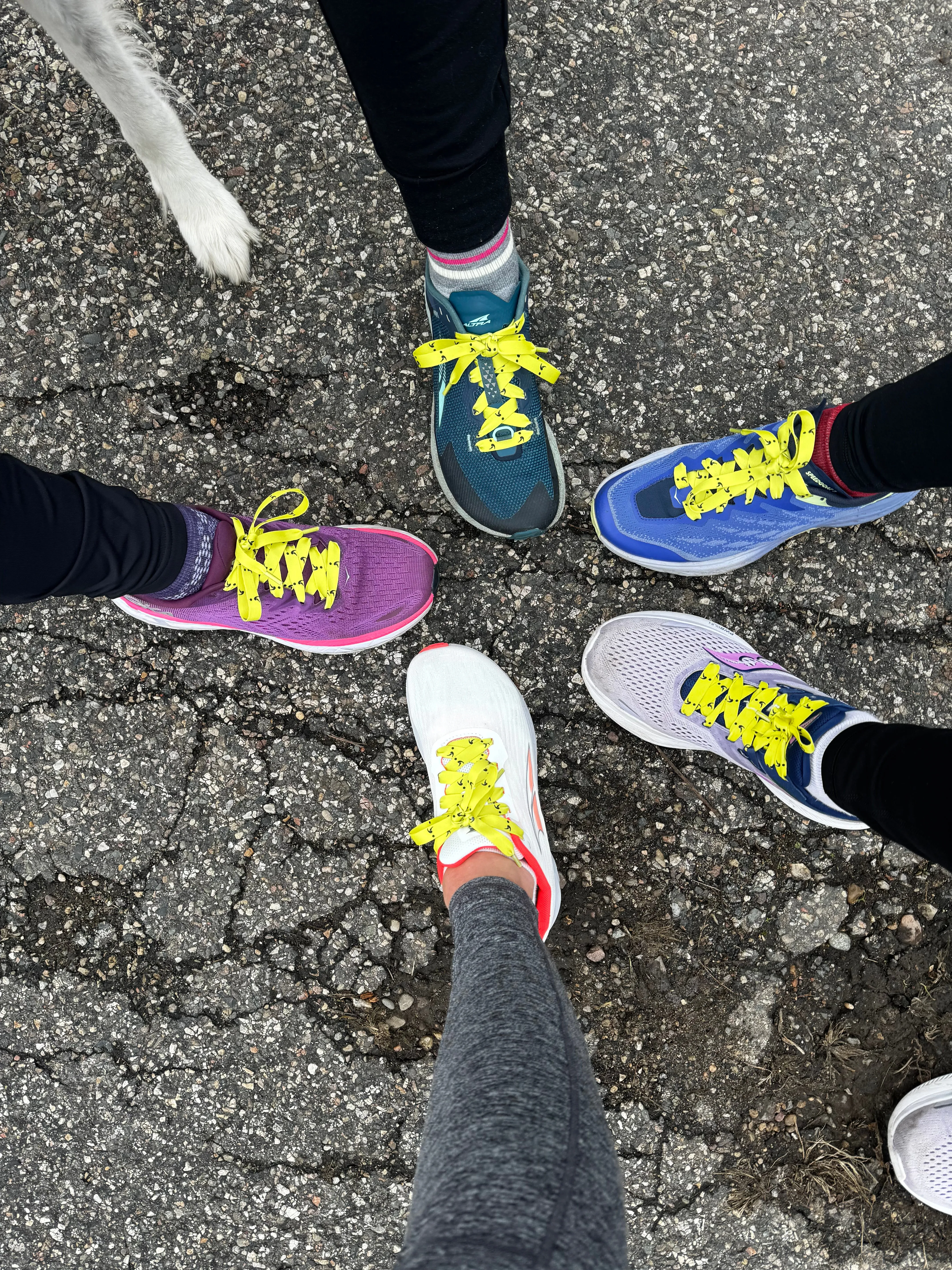 Neon Shoe Laces