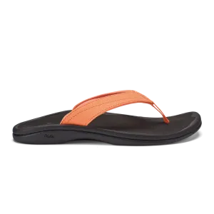 'Ohana::Shell Coral
