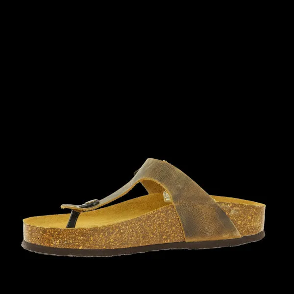 Plakton 341671 Beige Thong Sandals