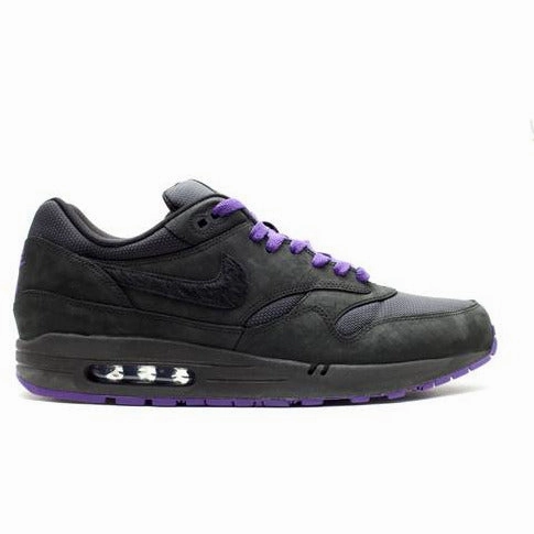 Comfort Technology Air Max 1 ??Air Attack Pack?? (2010)