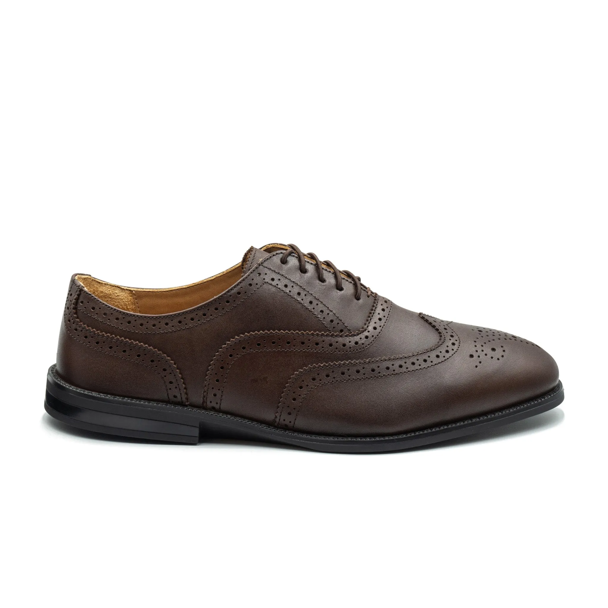 RAPTOR Wingtip Oxfords