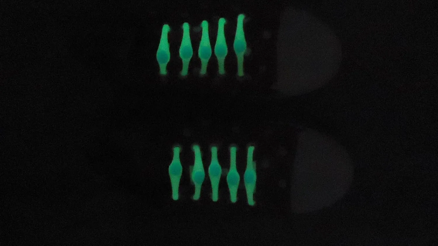 Ravenox No Tie Silicone Shoelaces - Tieless Slip-On Elastic Laces for Adults - Sneakers & Flats - One Size Fits All, Unisex