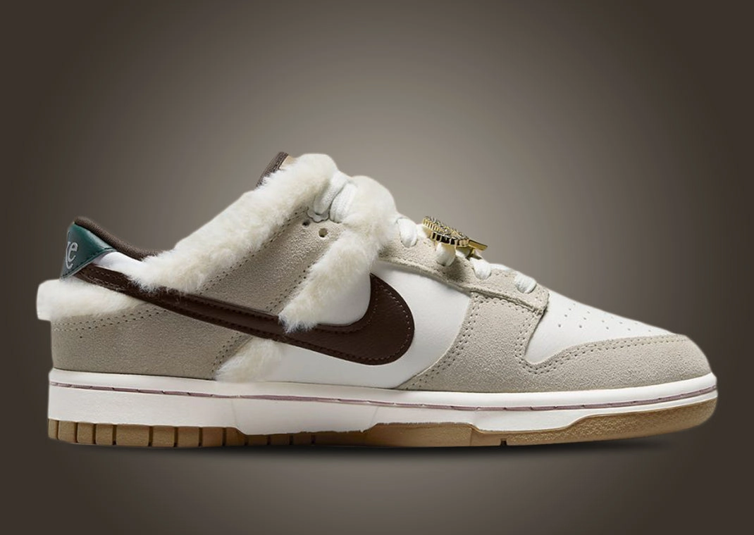 Matte Dunk Low 'Bling - Baroque Brown'