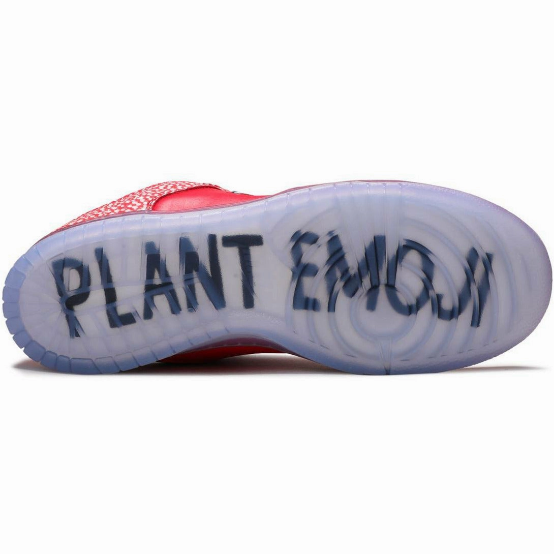 specialized running shoes Workout Dunk SB Low "Stingwater Magic Mushroom" (2021)