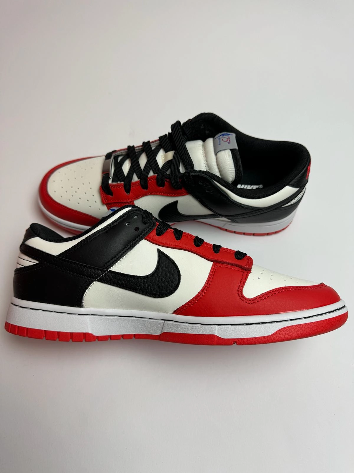 Nike Dunk Low EMB "NBA 75th Anniversary Chicago" barefoot running
