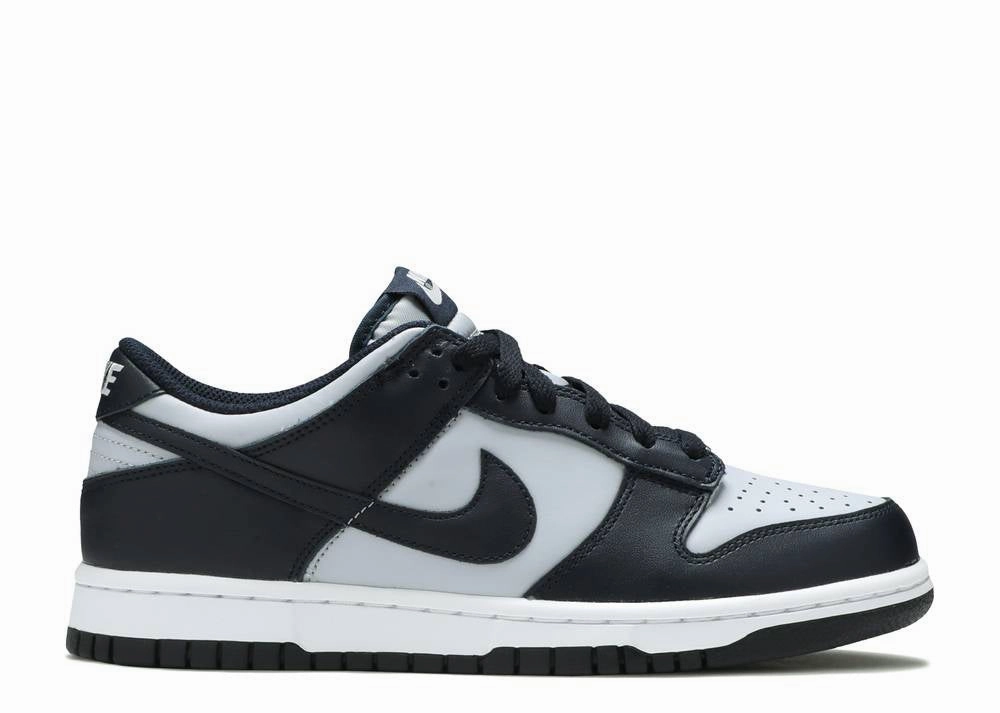 Agility Training Nike Dunk Low Georgetown (GS)