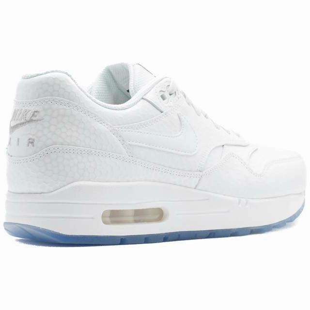 Woven TPU Cage Air Max 1 Premium "Ice Pack" (Wmns) (2015)