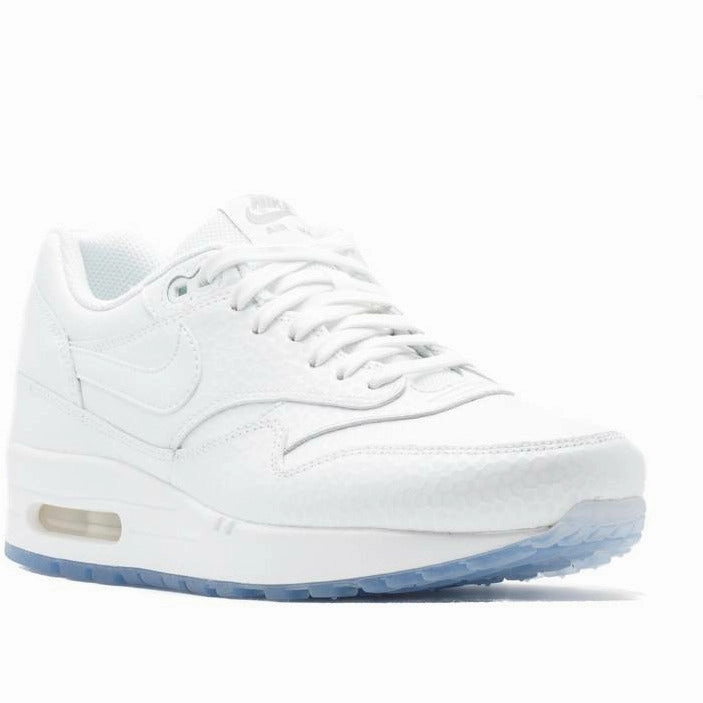 Air Max 1 Premium "Ice Pack" (Wmns) (2015) Dynamic Motion