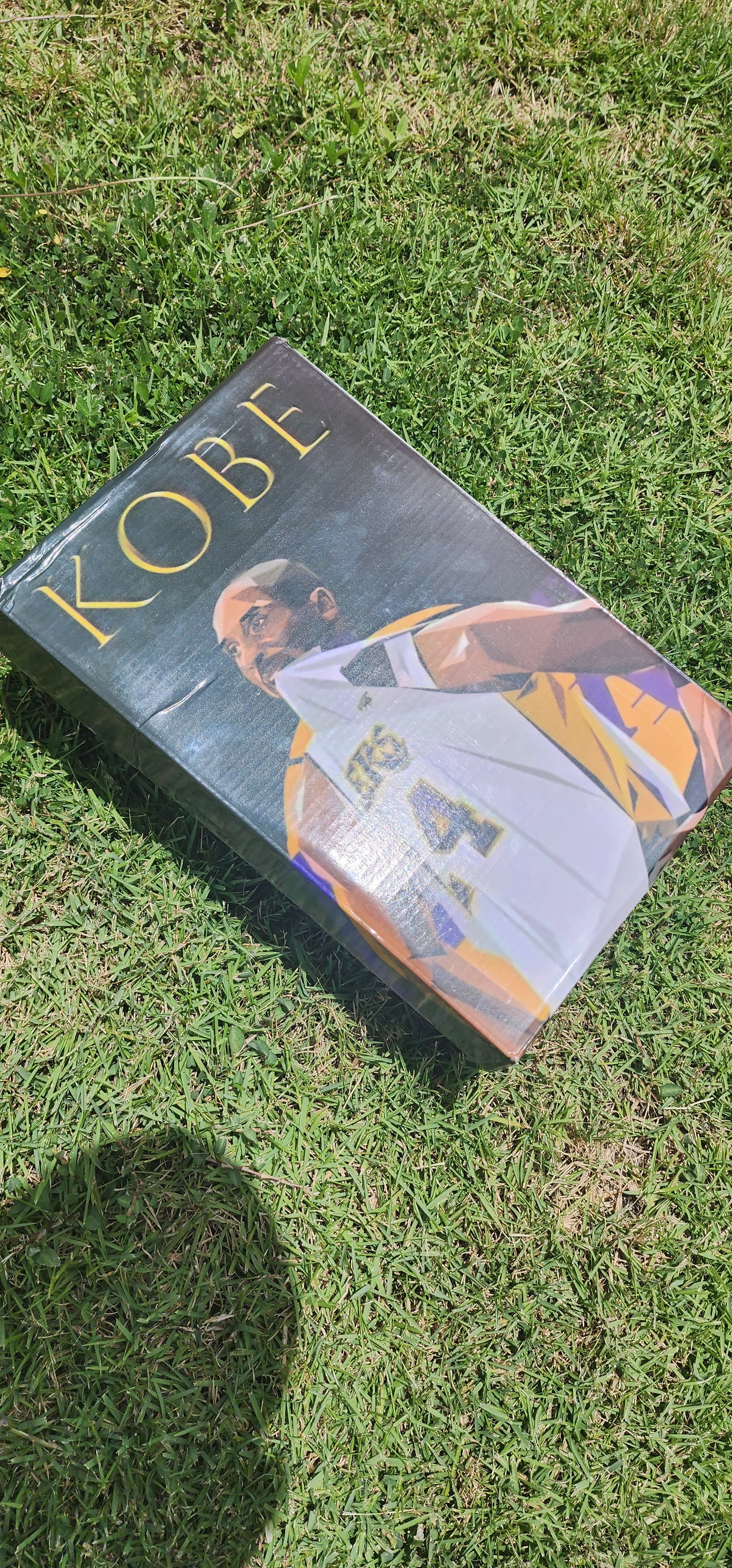 uneven - terrain shoes running in forests Nike Dunk low kobe custom